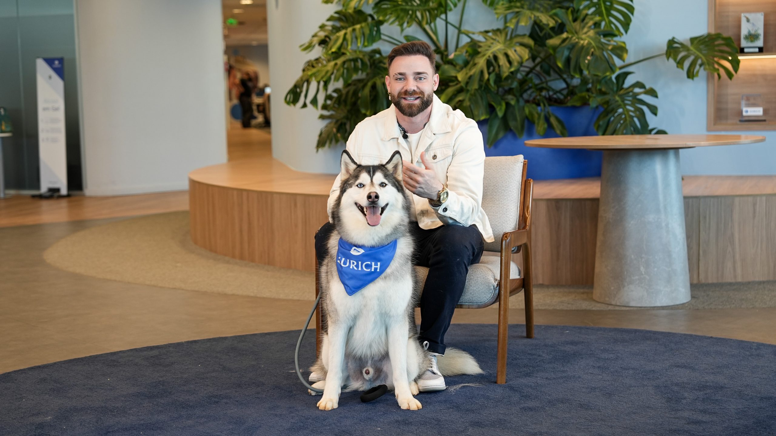 Zurich Seguros adota ambiente pet friendly